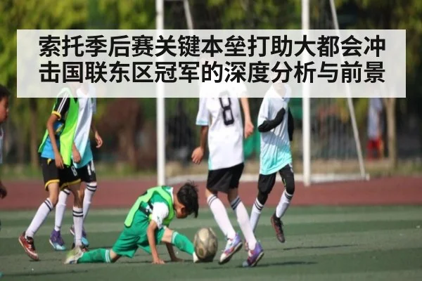 索托季后赛关键本垒打助大都会冲击国联东区冠军的深度分析与前景