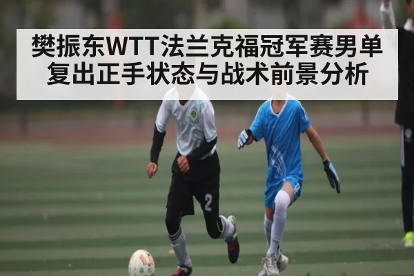 樊振东WTT法兰克福冠军赛男单复出正手状态与战术前景分析